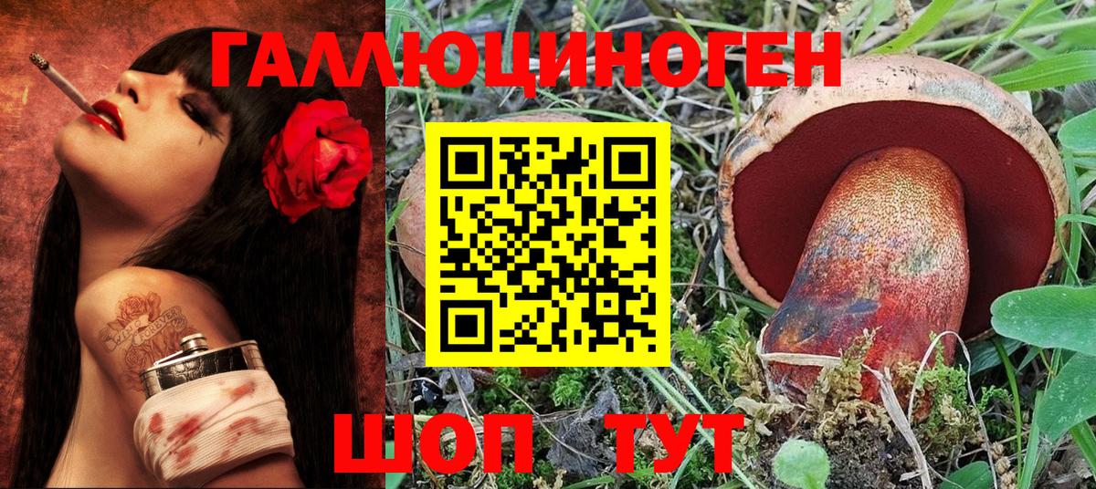 Галлюциногенные грибы мухоморы Сочи
